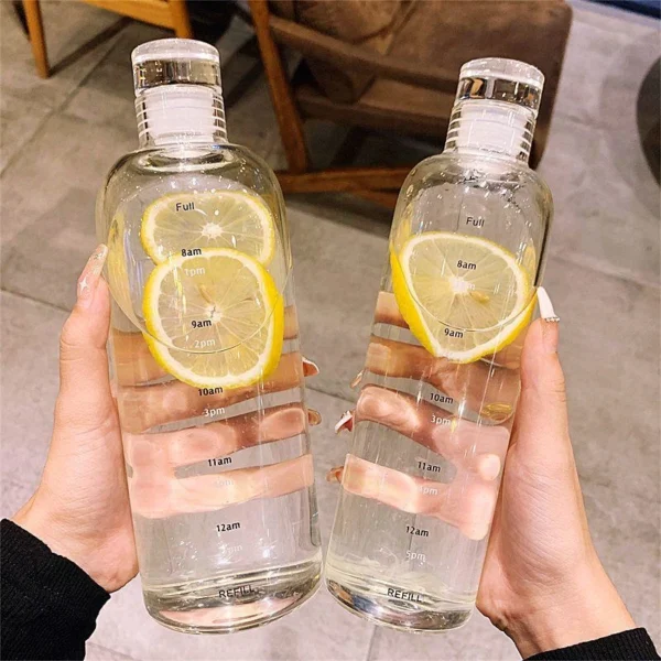 High Borosilicate Drinking Bottle With Sealing Glass Lid - Image 6