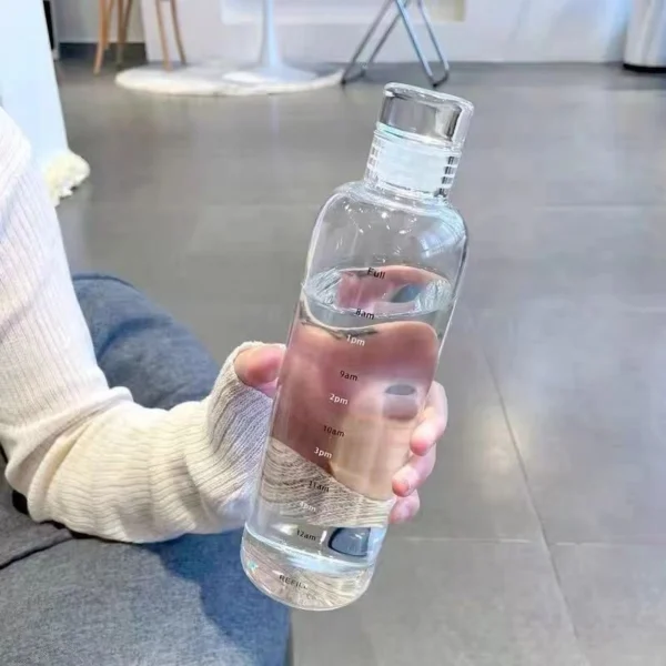 High Borosilicate Drinking Bottle With Sealing Glass Lid - Image 3