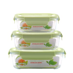 Borosilicate glass food container with lid