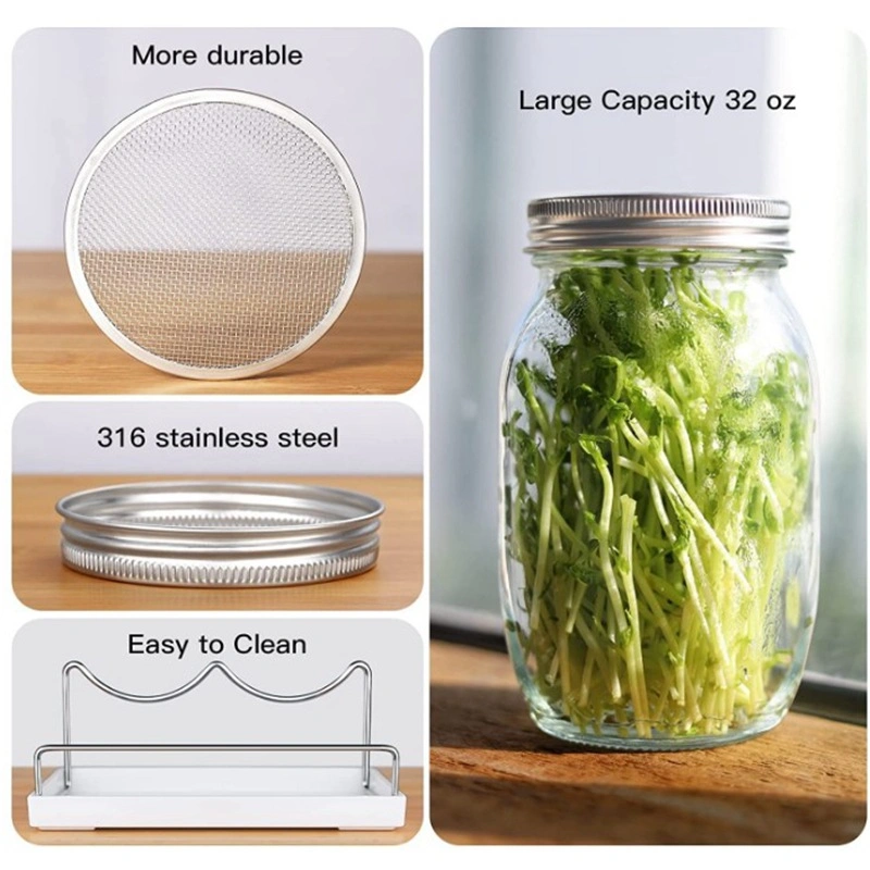 Sprout Maker Seed Sprouting Jar Kit -2 Sprouter Mason Jars With Screen Lids Stands And Trays 2 Sprout Maker Seed Sprouting Jar Kit -2 Sprouter Mason Jars With Screen Lids Stands And Trays - Image 2