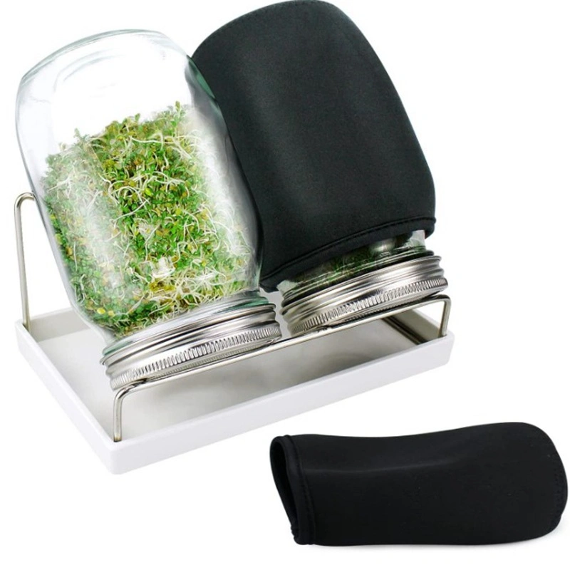 Sprout Maker Seed Sprouting Jar Kit -2 Sprouter Mason Jars With Screen Lids Stands And Trays 5 Sprout Maker Seed Sprouting Jar Kit -2 Sprouter Mason Jars With Screen Lids Stands And Trays - Image 5